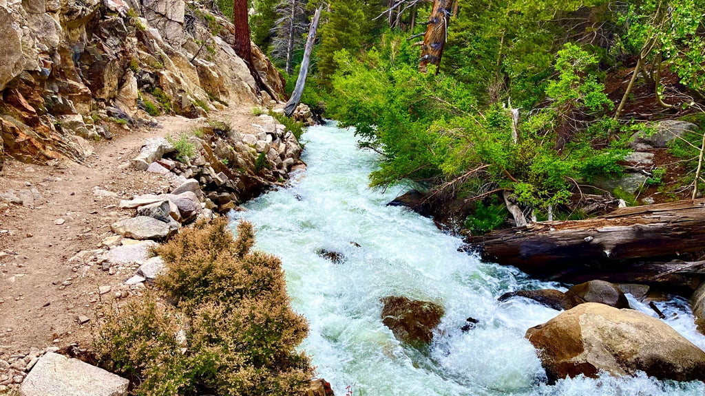 Resisting the River's Flow